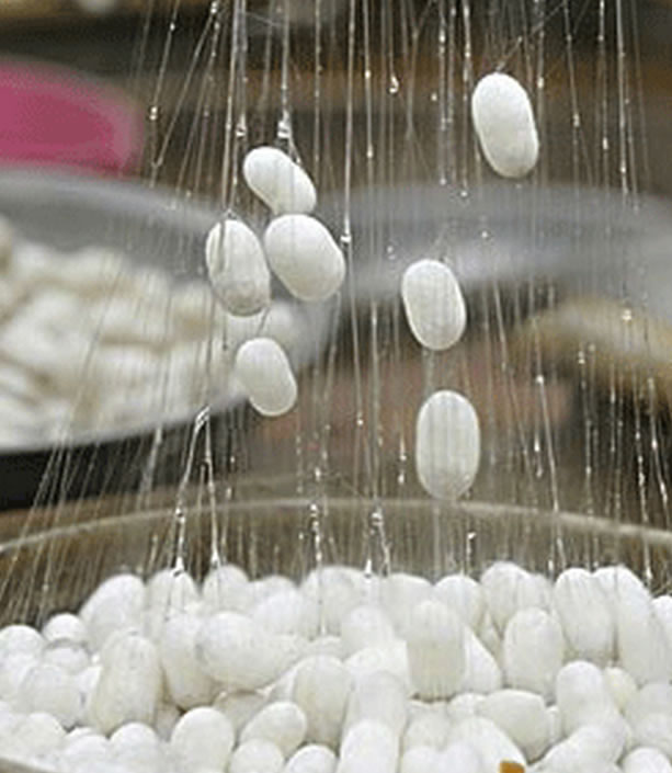 Chemical Fiber Analysis